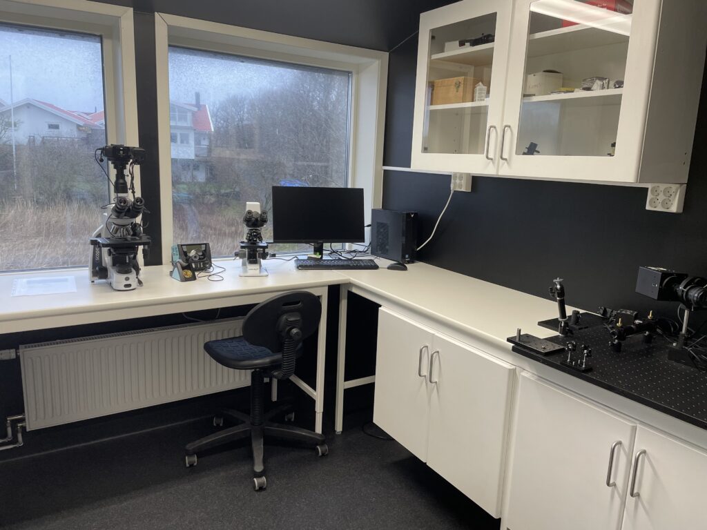 Optics laboratory at Industridoktorn